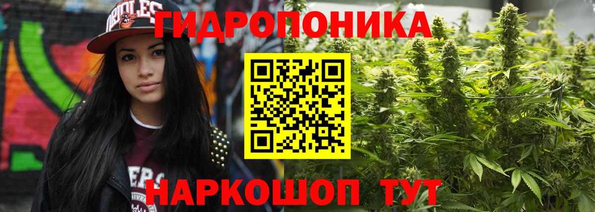 Бошки марихуана гибрид Кыштым