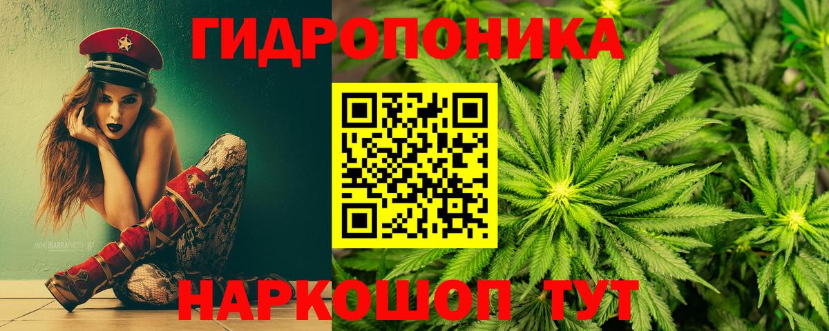 Марихуана конопля  Вход с VPN  Кыштым  Марихуана планчик 